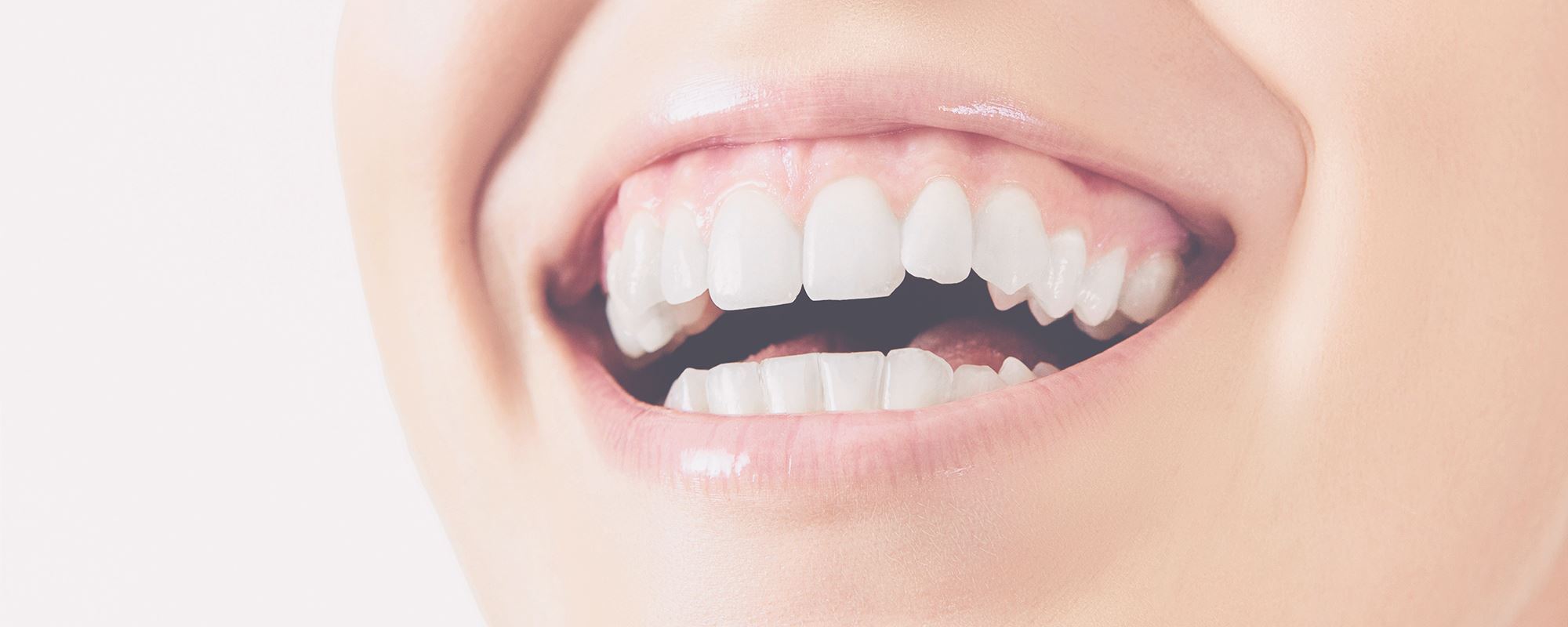 I denti e la loro funzione: qual è la differenza fra incisivi, canini, premolari e molari?